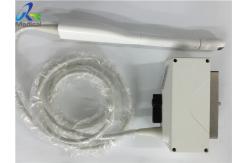 China Compatible Ultrasound Probe EUP-V33W For Echo Scanner , ultrasonic transducer endocavity probe supplier