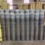 1.8m X 50m X 1/2 Galvanized Welded Wire Mesh Rolls Hot Dipped 0.68mm for sale