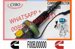 China COMMON RAIL FUEL INJECTOR 2867147 F00BJ00001 F00BJ00000 0986435900 supplier