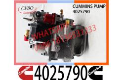China Diesel Engine Parts For Cummins KTA19-M3 PTG Fuel Pump E489A05 4025790 supplier