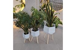 China Easily Cleaned Fiber Clay Planter For Indoor And Outdoor Individuality supplier