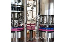 China Fully Automatic Plastic Beverage Filling Machine Glass Bottled Soft Drink Dual Capping supplier
