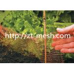 Galvanized Welded Wire Mesh With Flat-type And Corrugated Type Surface Spiral Wound Or Compressed Craft for sale