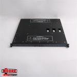 3636R 7400123-310 Triconex Digital Relay Output Module