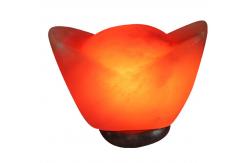 China OEM Carved Himalayan Salt Lamp With Solid Wooden Base supplier