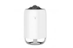 China HOMEFISH 260ML Room Humidifier ABS PP Silicone Car Air Humidifier supplier