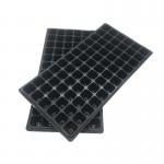 105 Cavity PS 1mm Plastic Seedling Tray 5cm Deep Vegetable Growing Trays for sale