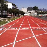 Multicolor All Weather Jogging Track Flooring Material Aging Resistance  for sale