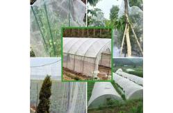 China Vegetables And Fruit Tree Netting Bags Cover For Recycle Ultra fine supplier