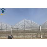 Large Hydroponic Multi Span Greenhouse For Tomato / Pepper / Cucumber Planting
