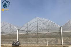 China Large Hydroponic Multi Span Greenhouse For Tomato / Pepper / Cucumber Planting supplier