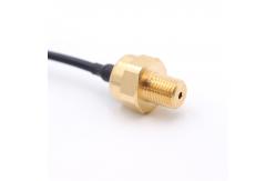 China 10bar Ceramic Pressure Sensor supplier