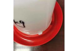China Durable plastic chicken feeder and drinker for poultry farm equipment supplier