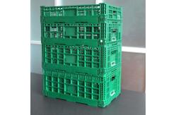 China Sonsill Green Vegetable Storage Reusable Collapsible New PP Plastic 32 Liters Crate supplier