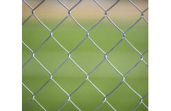 China 40*40MM PVC Coated Wire Mesh Garden Fence , Heavy Duty Wire Fence Panels supplier