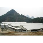 XGZ Steel Structure Poultry House Customized Size And Layout for sale