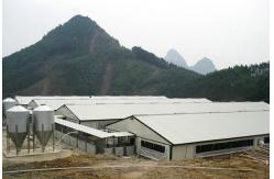 China XGZ Steel Structure Poultry House Customized Size And Layout supplier