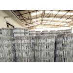 Fixed Hinge Grassland Wire Fence , 2.5mm Galvanized Mesh Wire Fencing for sale