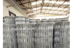 China Fixed Hinge Grassland Wire Fence , 2.5mm Galvanized Mesh Wire Fencing supplier