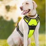 Nylon Reflective Pet Harness Leash For Large Dogs With Pull Handle for sale