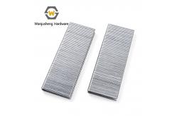 China 14/38 Galvanized Pneumatic Staples Special Fasteners for Furniture Use supplier