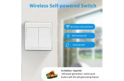 China Wireless Self Powered Remote Control Switch Panel Waterproof Wall Light Switch 10A supplier