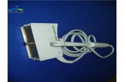 China Siemens EV-8C4 Ultrasound Transducer Probe Endocavitary supplier