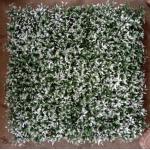 Artificial Wall Grass For Elevating Your Building'S Aesthetics With 50cm*50cm Size The Perfect Exterior Solution for sale