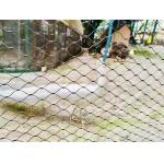 Rope Zoo Fencing Netting Stainless Steel Rope Bird Aviary Netting for sale