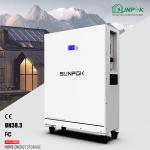 51.2V 400Ah LiFePO4 Battery 20.48kWh Solar Home Energy Storage for sale