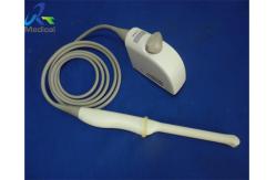China Siemens EC9-4 Compatible Ultrasound Transducer Endocavity Probe X300 System In Hospital supplier