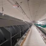 Chain Feeding System Chicken Breeding Equipment for sale
