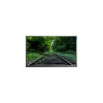 N160GLE-GT1 2560*1600 16.0 inch 165Hz LCD Screen Laptop for sale