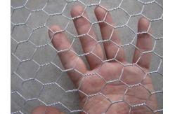 China Galvanized Hexagonal Wire Netting 3feet breeding chicken coop wire mesh supplier