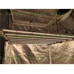 Vertical 1000w EnerMax LED Horticulture Led Grow Light for sale