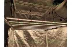 China Vertical 1000w EnerMax LED Horticulture Led Grow Light supplier