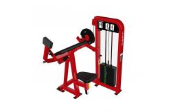 China fitness equipment life series gym equipment ,steel tube ,different colors for gym club supplier