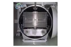 China Drying process Continuous Automatic Drying Junxu Freeze Drying Equipment for Fruits supplier