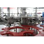 SGS Automatic Glass Bottle Filling Equipment Rinsing Filler Capping And Packing