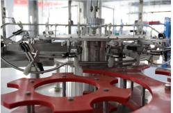 China SGS Automatic Glass Bottle Filling Equipment Rinsing Filler Capping And Packing supplier