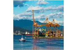China International Sea Freight Forwarding DDP From China To New Zealand supplier