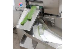 China 0.75KW Fruit And Vegetable Peeler Machine Aloe Food Processor supplier