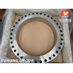 ASME SA182 F317L WN RF Stainless Steel SMLS Flange , Bridas for sale