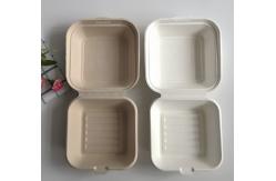 China Biodegradable Burger Fast Food Packaging Box Eco Friendly supplier