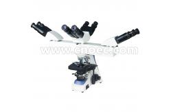 China Optical Multi Viewing Microscope For Educational A17.1102-B supplier