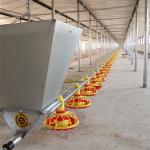 Big Capacity Poultry Feed Hopper For Farming House Auger Conveyor Feed for sale
