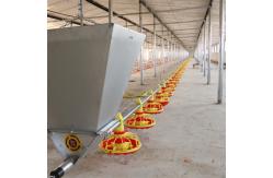 China Big Capacity Poultry Feed Hopper For Farming House Auger Conveyor Feed supplier