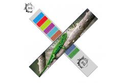China High Definition Motion 3D Lenticular Ruler Animal Design For Students supplier