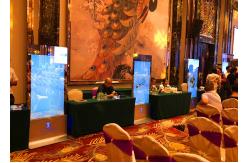 China Narrow Bezel Transparent OLED Display For Exhibition Halls Multi Language Support supplier