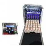 Digital Egg Batch Coding Machine / Inkjet Coding Machine For Effective Date